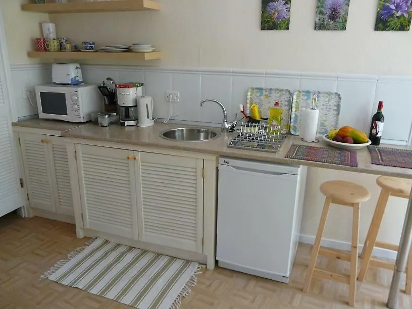 Casa Flora Loft Apartment Sauzal